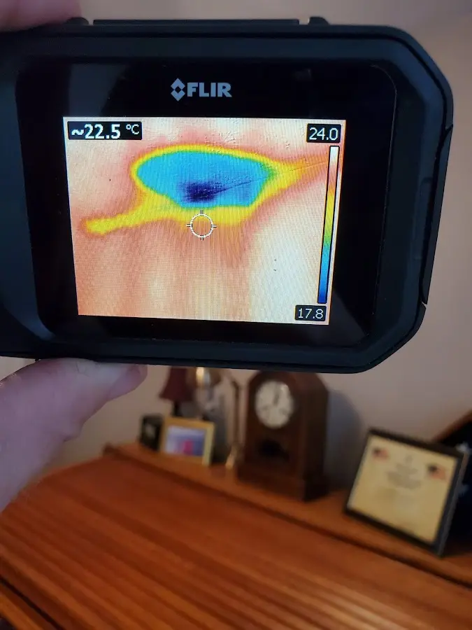 Thermal imaging inspection for water damage in Paris